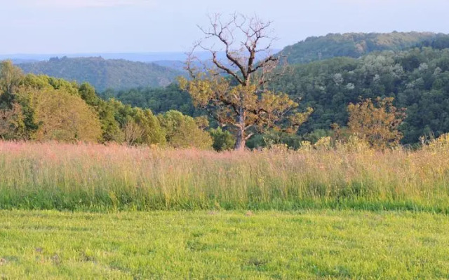 Roulotte La Cardelinha