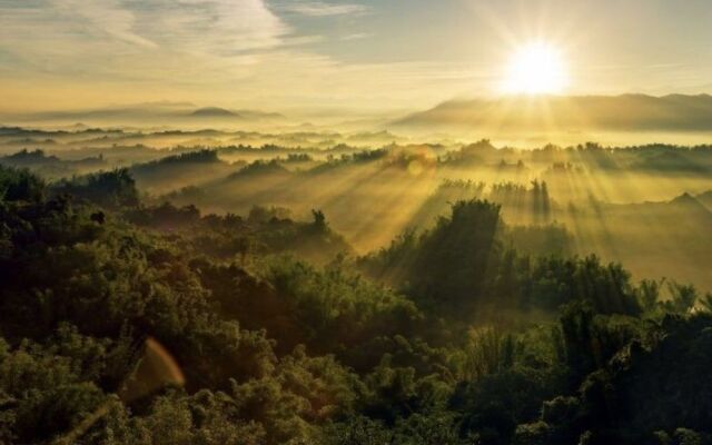 Grace house homestay