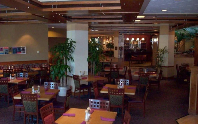 Embassy Suites by Hilton Tampa USF Near Busch Gardens