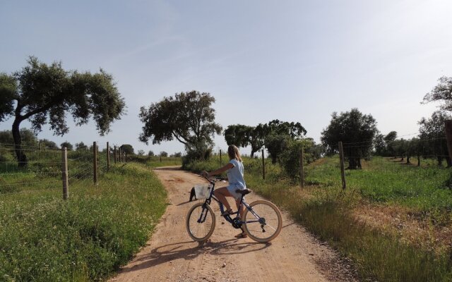 Herdade da Maridona em Estremoz
