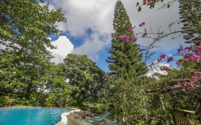 Hotel Rancho Olivier