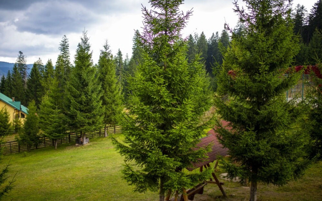 Hotel Floare de Colt Bucovina