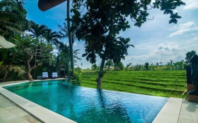 Rice Field Terrace Tirta Villa Canggu