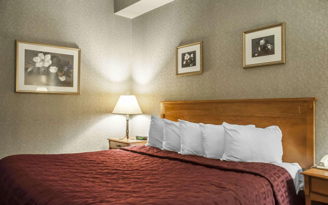 Comfort Inn Lundys Lane