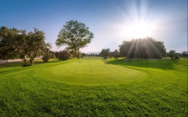 AP989 Cabagua Oliva Nova