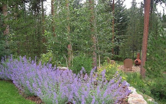 Charming & Warm Private 'in-Town' Home by RedAwning