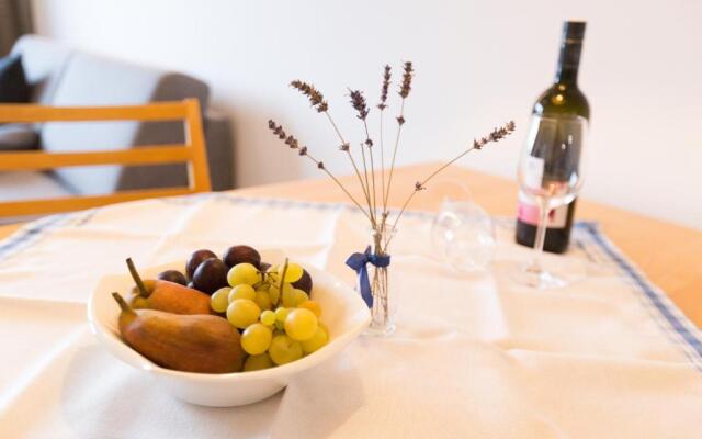 Apartment Wiesenhof - NATUR & WEITBLICK über Innsbruck - Ladestation für Elektroautos