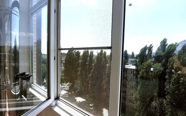 Apartments on Chkalova street