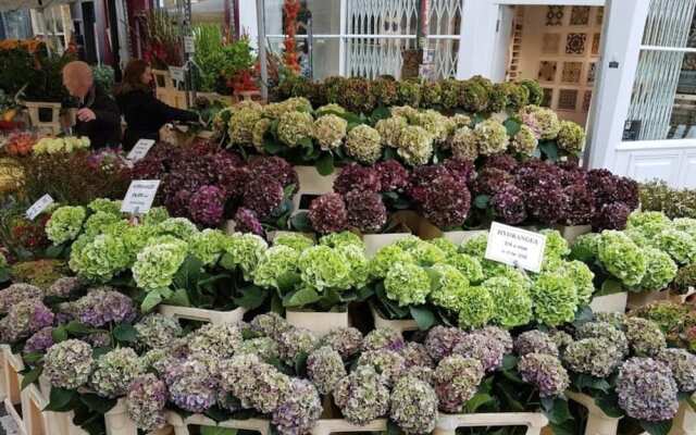 Charming Quirky 1bed in Bethnal Green 1min to Tube