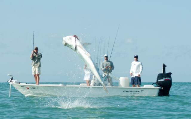 Placida #12822 - 1 Br Villa