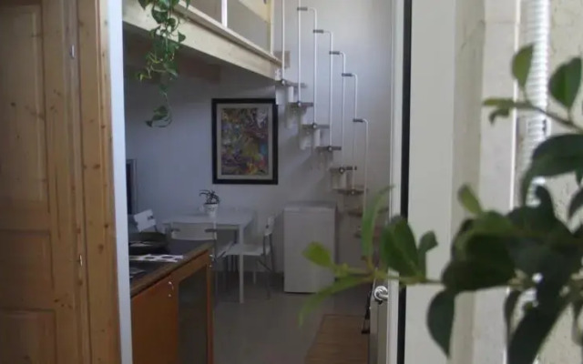 Casa Aloe Vera