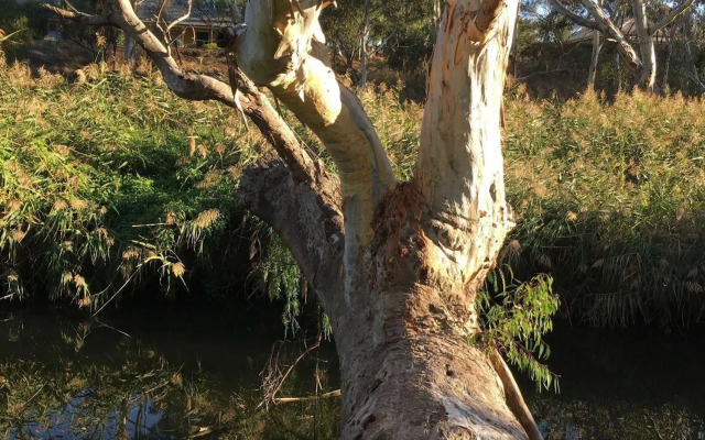 Strathalbyn Gasworks