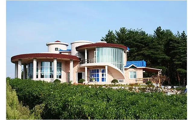 Sun flower pension