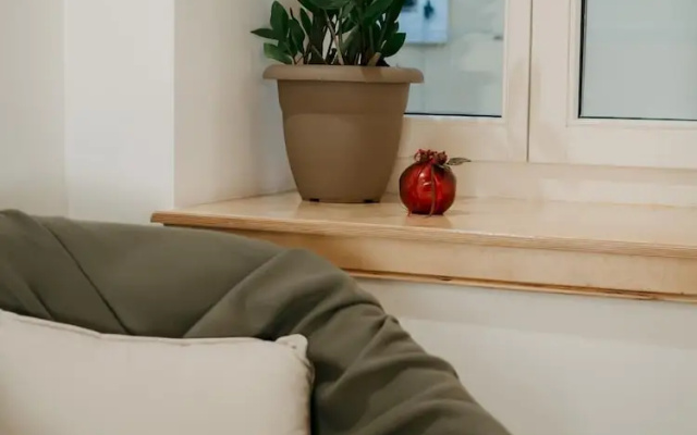 Lenko Bianco Studio by Estia