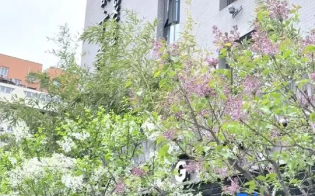 Huayun Dingxiang Hotel (Beijing South Station Niujie Branch) – Exterior – Beijing
