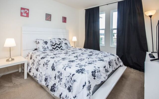 Compass Bay 3131