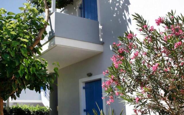 Studios Vasilis