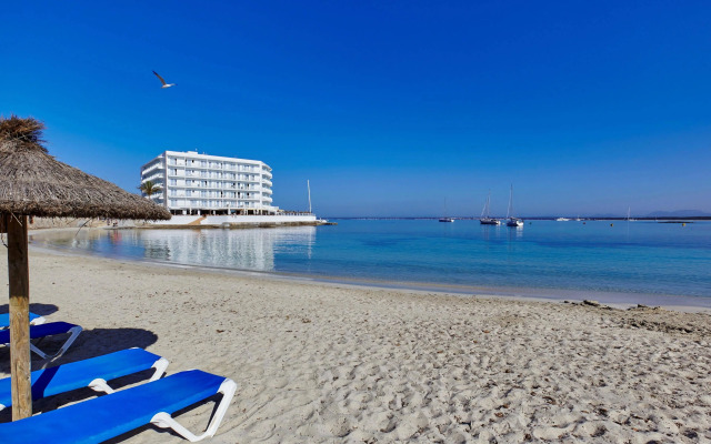 Universal Hotel Marqués