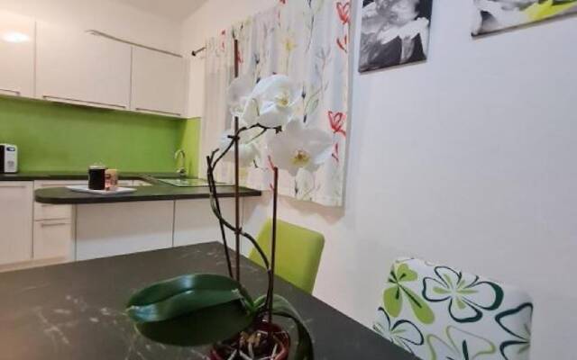 Luxury Apartment Ani