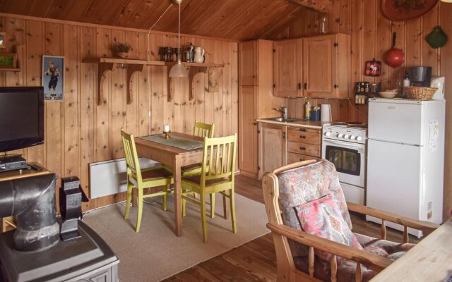 Amazing Home in Rauland With 2 Bedrooms