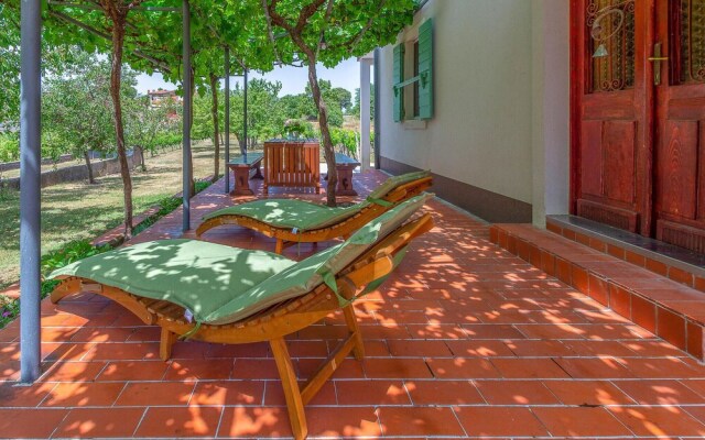 Beautiful Home in Nedescina With Wifi and 2 Bedrooms
