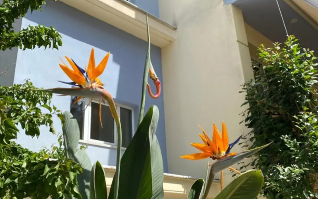 Agrinio ART Suites