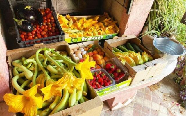 Ascheri Country House - Grimaldi, Ventimiglia