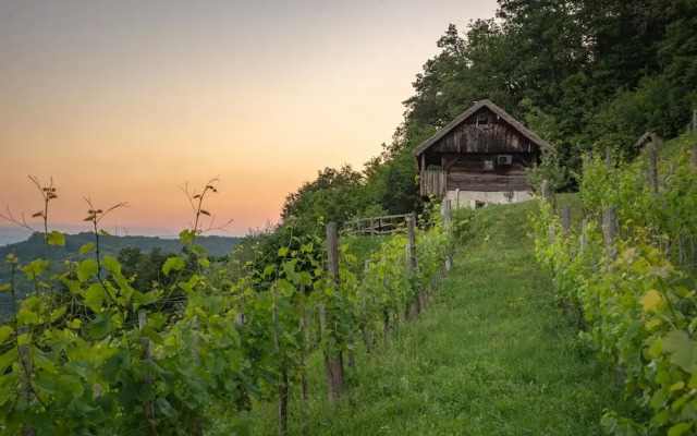 Vineyard Cottage Škatlar 1