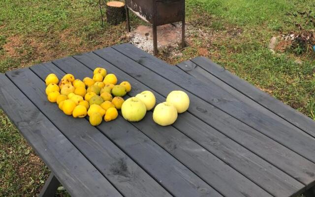 Skrunda Apartments Centrum