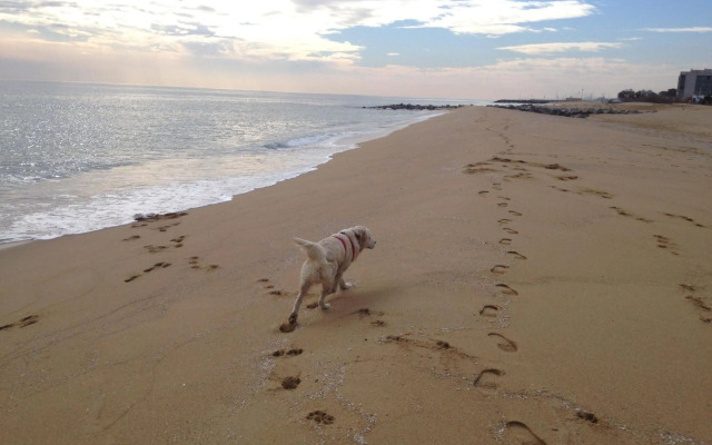 Residential Tourist Apartments