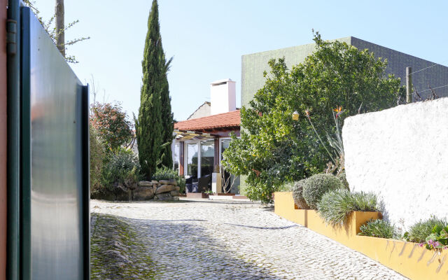 Conceição (NZE221)