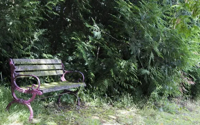 Manoir de Chauvigné