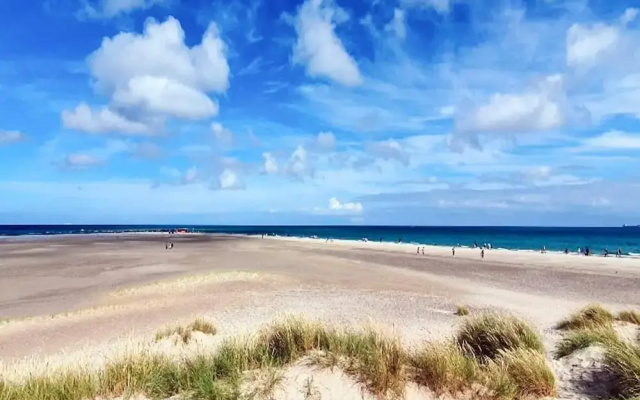 5 Star Holiday Home in Skagen