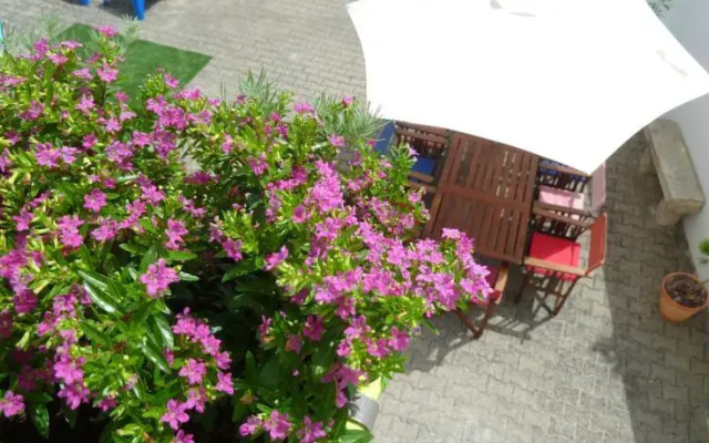 Obidos Wine & Surf Hostel