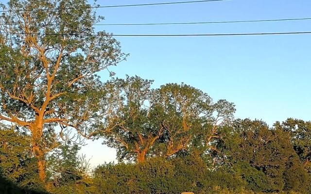 Chambres D'Hotes Les Hirondelles Bleues
