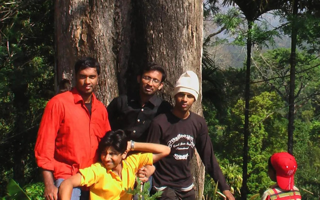 Jungle Jive Tree House Munnar