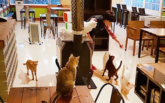 Gyeongju Pyeonggwanhun Guest House