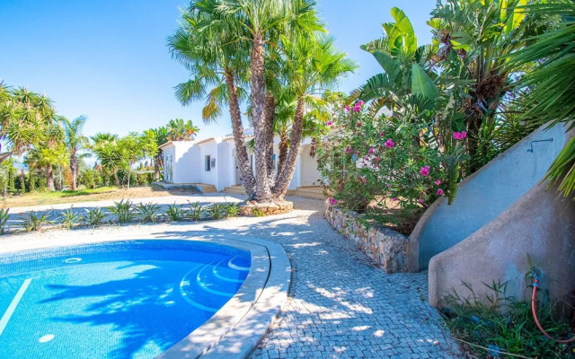 Yoba Horse Farm in Carvoeiro