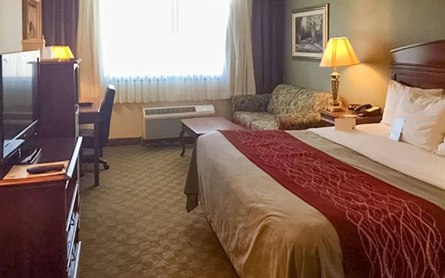 Comfort Inn - Springfield