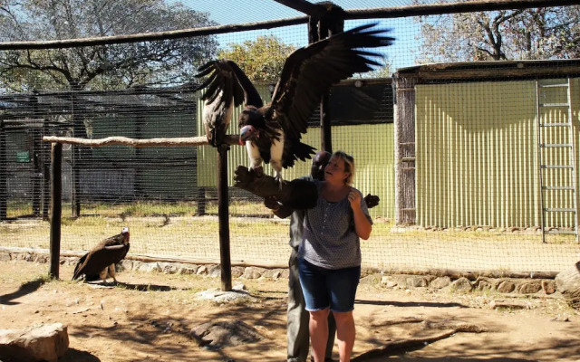 Lowveld Escape