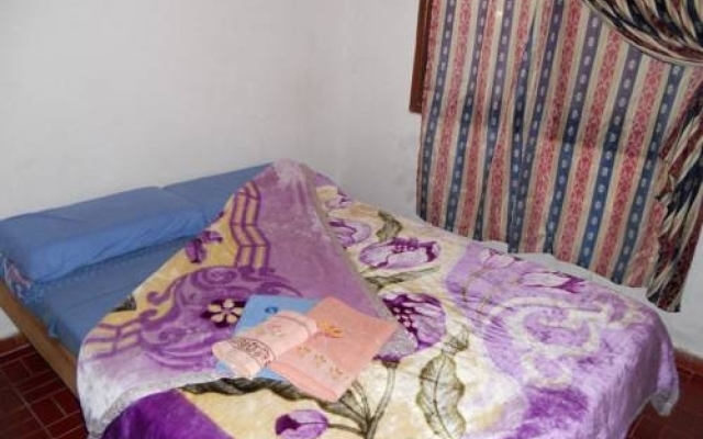Hostel Fenix