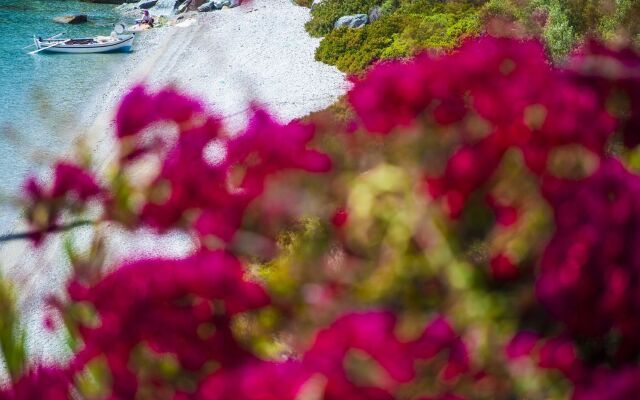 Miradouro Sea Front Residences