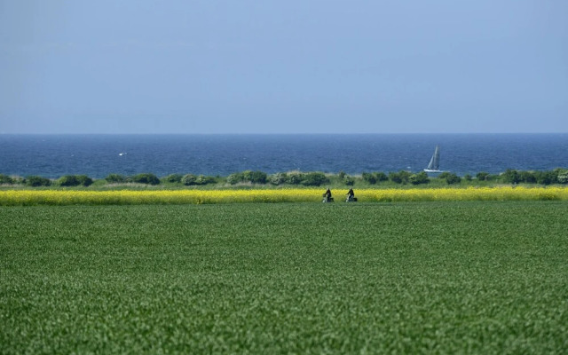 Lovely Apartment in Kägsdorf With Garden