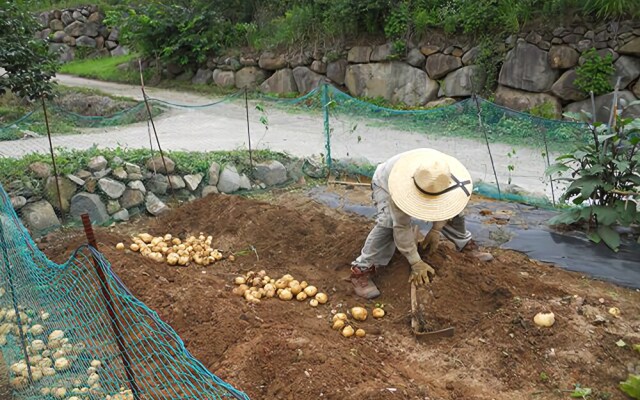 Hadong Goorumbee Mud Pension