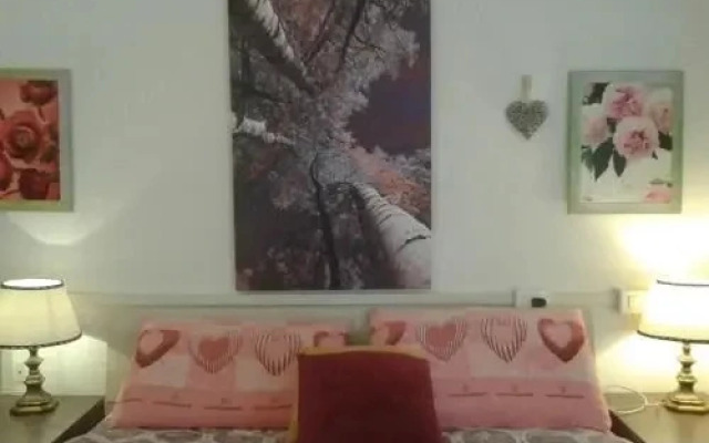 BB Solidale Il Giglio