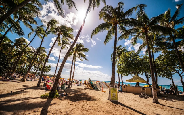 Waikiki Banyan 1BR Condos with No Parking