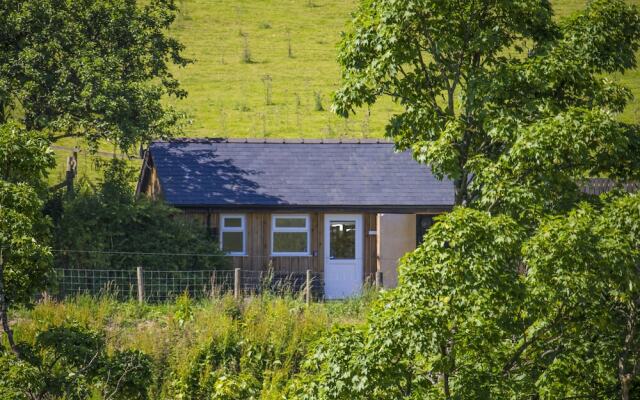 The Little Bunk House