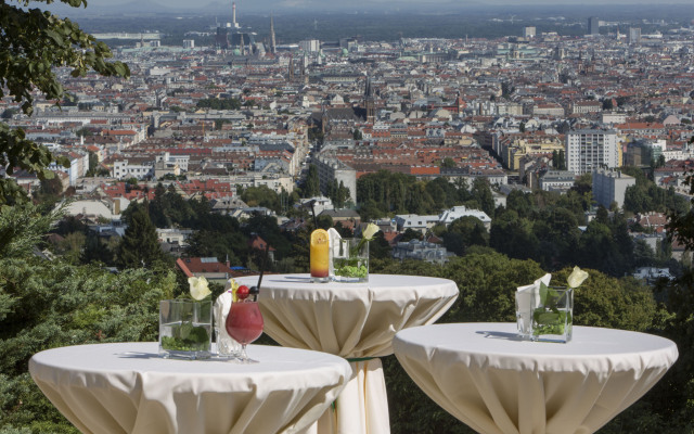 Austria Trend Hotel Schloss Wilhelminenberg