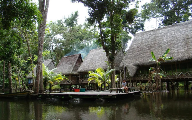 Lodge Jungle Wolf Expeditions