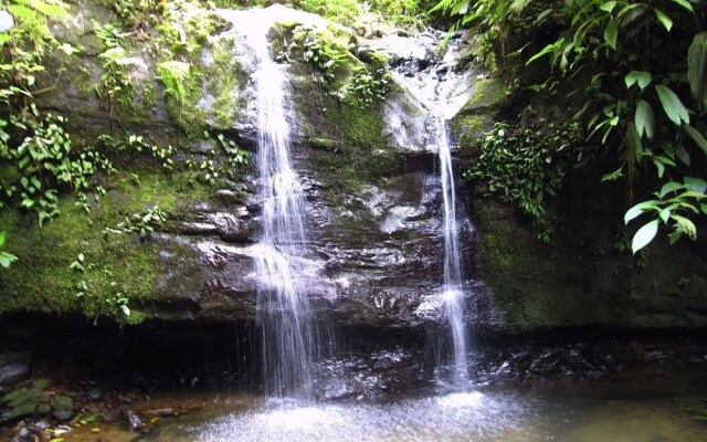 Samasati Yoga & Wellness Retreat
